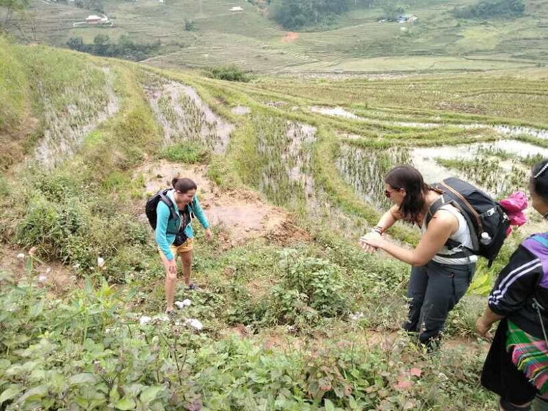 Sapa: Private Trek to Muong Hoa Valley - Trekking Through Hmong Villages