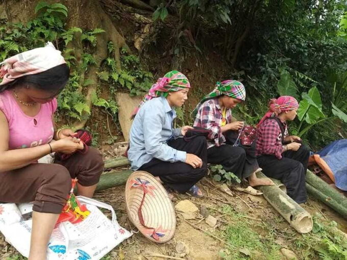 Sapa: Private Trek to Muong Hoa Valley - Discovering Spectacular Rice Terraces
