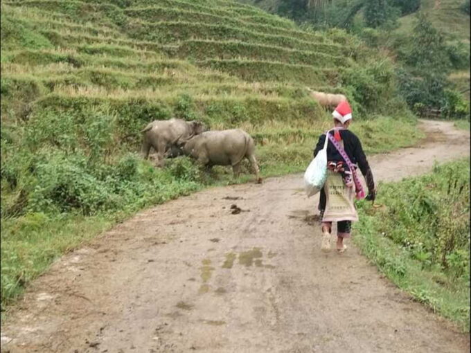 Sapa: Private Trek to Muong Hoa Valley - Interacting With Local Ethnic Groups