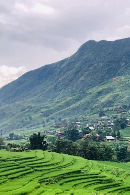Sapa: Private Trekking Tour (Full Day, Lunch + Herbal Bath) - Pickup and Transportation