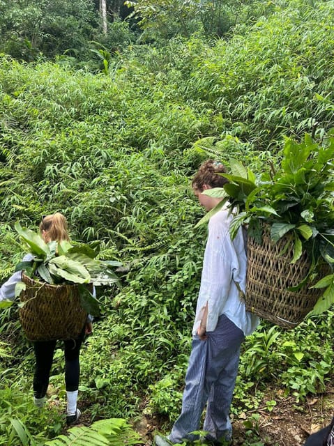 Sapa: Real Local Life of Dao People: Herbal Bath, Local Food - Key Points