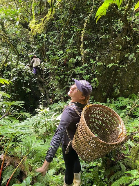 Sapa: Real Local Life of Dao People: Herbal Bath, Local Food - Frequently Asked Questions