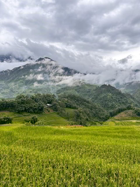 Sapa Scenic Motorbike Adventure With Local Guide - Enjoying Lunch at Local Market