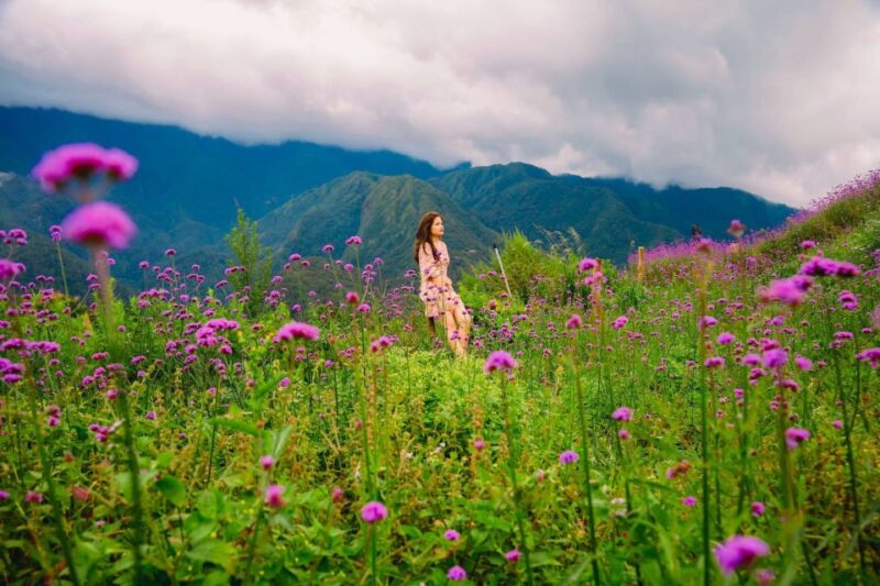 Sapa: Sunworld Fansipan Legend Ticket - Booking and Cancellation Policy