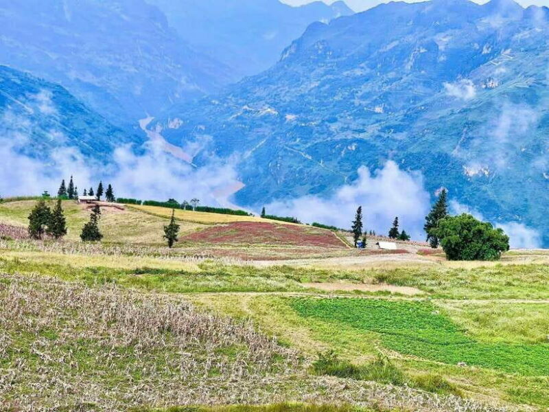 Sapa: Ta Phin Village Trek with Lunch and Bathing Experience - The Cultural Highlights in Ta Phin Village