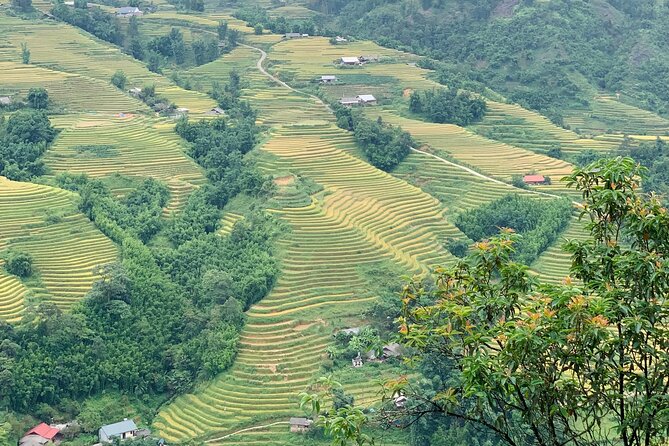 Sapa The Hidden Trail Trek 1 Day - Mountain & Rice Valley - Reviews and Feedback