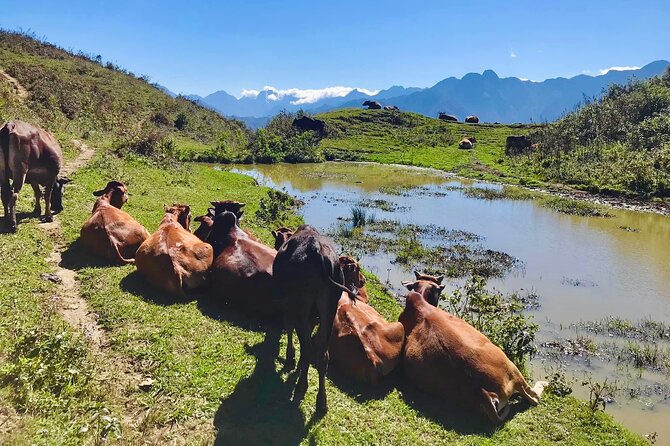 Sapa The Hidden Trail Trek 1 Day - Mountain & Rice Valley - Recommended Trekking Seasons