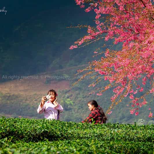 SAPA TOUR 3 DAYS 2 NIGHTS PACKAGE - DEPART IN THE EVENING - Contact and Meeting Point