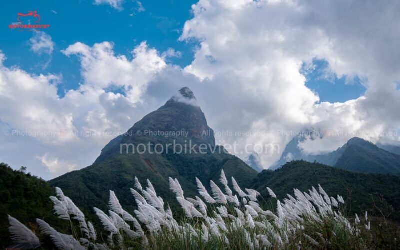SAPA TOUR 3 DAYS 2 NIGHTS PACKAGE - DEPART IN THE EVENING - Day 2: Sapa Exploration