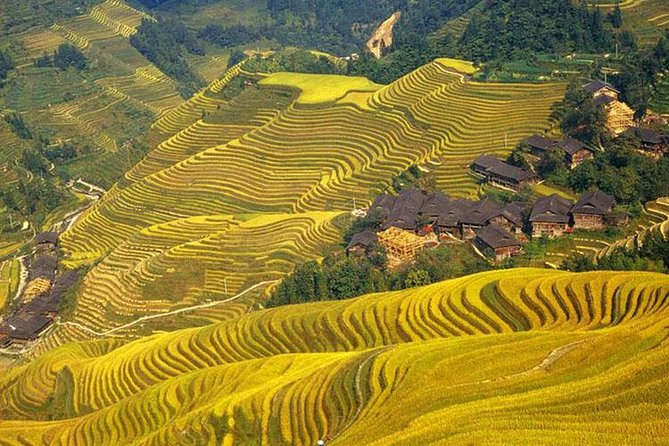 Sapa Treeking Tour - Hotel Stay - Tour Operator and Reviews