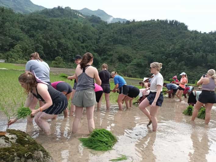 Sapa: Trekking 2 Days 1 Night in Homestay - Itinerary Details