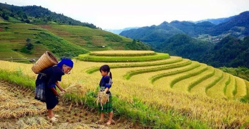 Sapa Trekking 3 Days 2 Night - VIP Sleeper Bus From Hanoi - Key Points