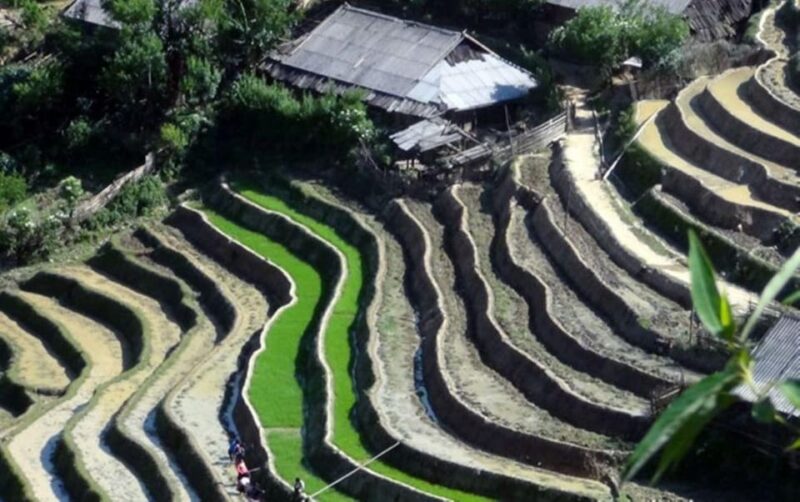 Sapa Trekking 3 Days 2 Night - VIP Sleeper Bus From Hanoi - Itinerary Highlights