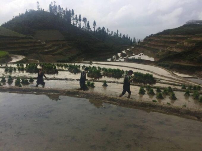 Sapa Trekking 3 Days 2 Night - VIP Sleeper Bus From Hanoi - Additional Information