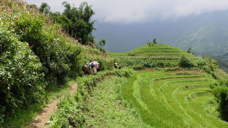 Sapa Trekking And Homestay Experince - Day 3: Trekking to Lao Chai and Y Linh Ho