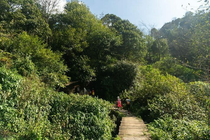 Sapa Trekking & Cooking with HMong Locals Local Culture - The Realities: Reviews and Considerations