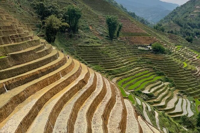 Sapa Trekking Experience Through Terraced Rice Fields - Experience Overview