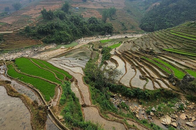 Sapa Trekking Experience Through Terraced Rice Fields - Meeting and Pickup