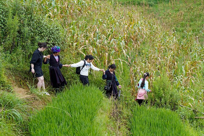 Sapa Trekking & Homestay 2 Days 1 Night - Overview of the Tour
