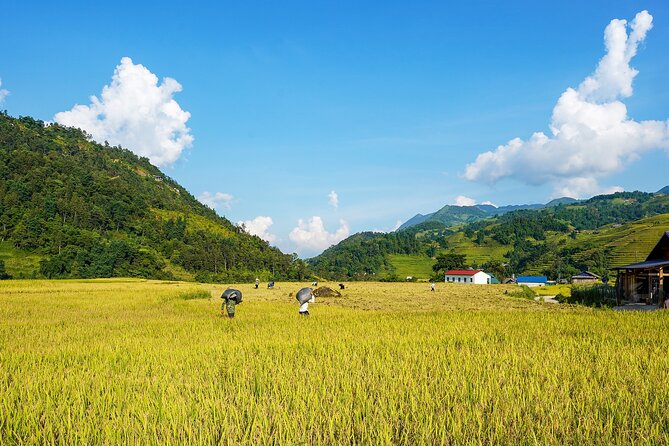 Sapa Trekking & Homestay 2 Days 1 Night - Scenic Landscapes
