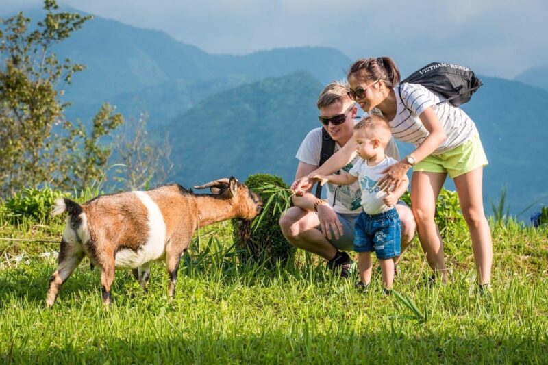 SAPA TREKKING & HOMESTAY: 3D2N - Trekking Experience