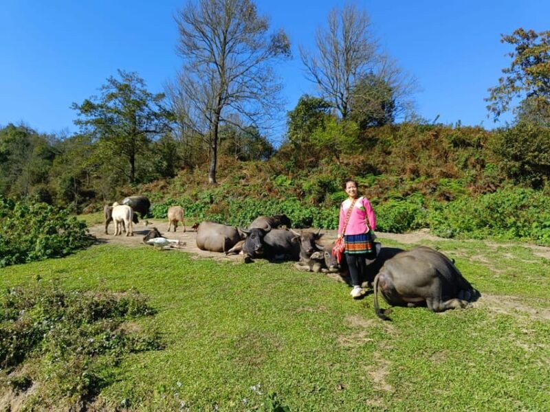 SAPA TREKKING & HOMESTAY: 3D2N - Cultural Insights