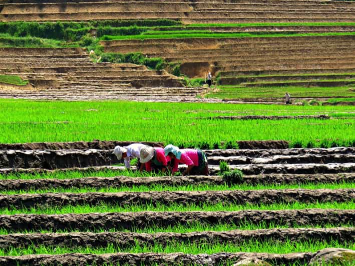 Sapa Trekking (Muon Hoa) 2 Days – 1 Night - Key Points