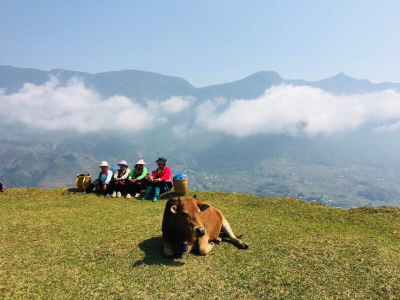 Sapa Trekking (Muon Hoa) 2 Days – 1 Night - Experience Highlights