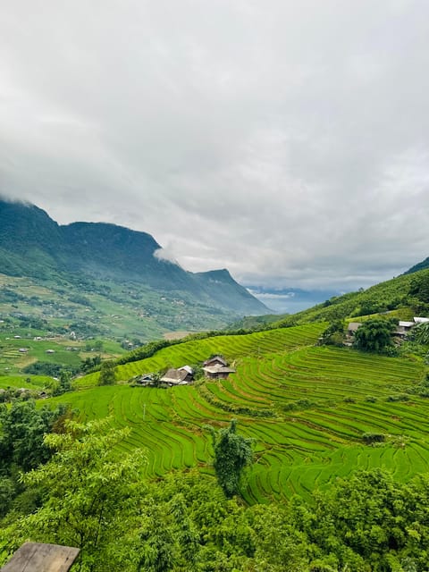 SAPA TREKKING, RICE FIELDS, LOCAL VILLAGES, BAMBOO FOREST - Trekking Experience