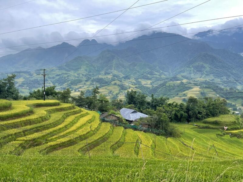Sapa: Trekking Sapa One Day With Group Tour - Participant Information