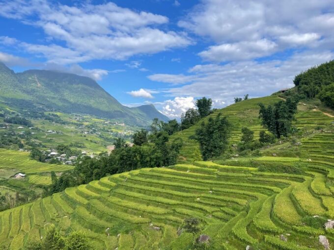 Sapa: Trekking Sapa One Day With Group Tour - Meeting Point and Transportation