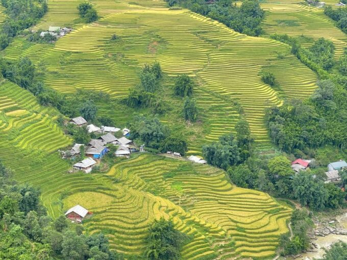 Sapa: Trekking Sapa One Day With Group Tour - Recap