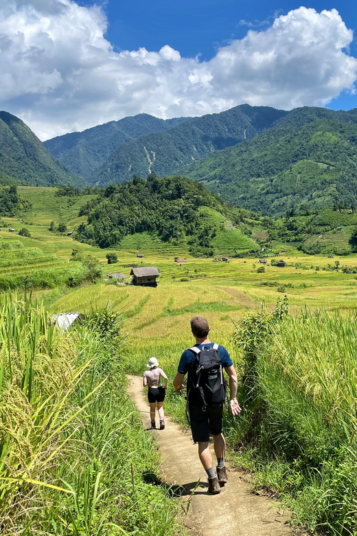 Sapa: Trekking Through Terraced Rice Fields & Valley 1 Day - Itinerary Highlights