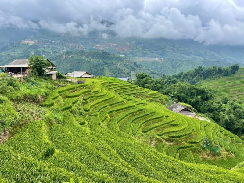 Sapa: Trekking Through Terraced Rice Fields & Valley 1 Day - Scenic Trekking Details