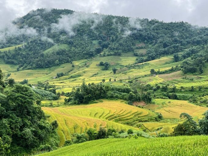 Sapa: Trekking Through Terraced Rice Fields & Valley 1 Day - Whats Included
