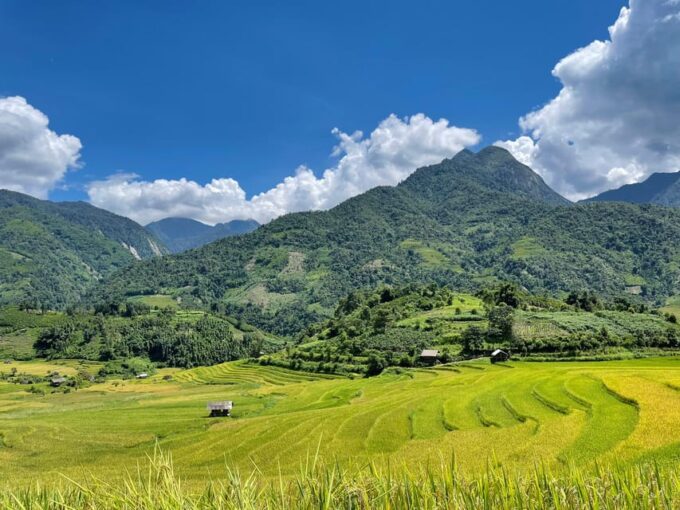 Sapa: Trekking Through Terraced Rice Fields & Valley 1 Day - Frequently Asked Questions