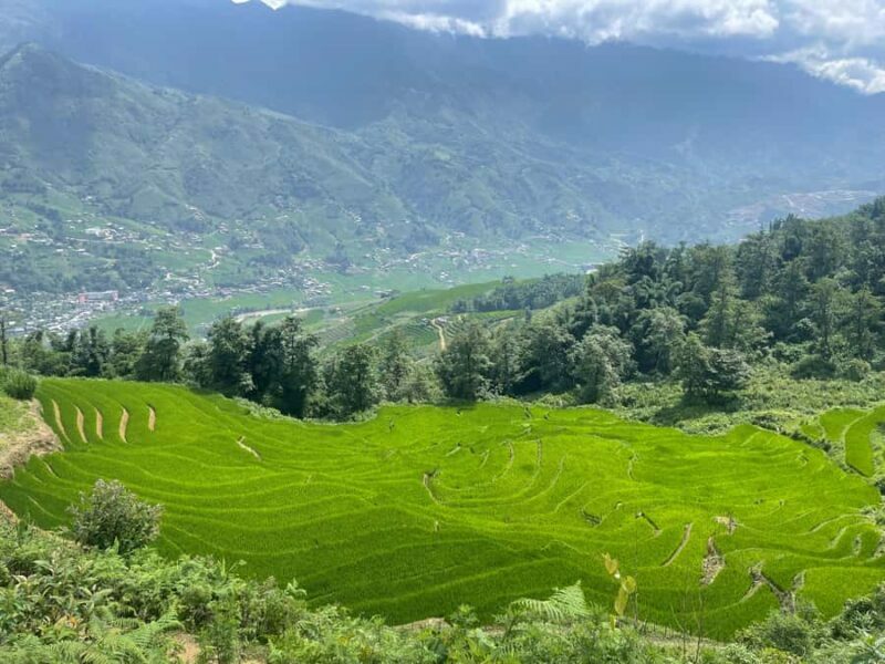 Sapa: Trekking Through Y Linh Ho - Lao Chai & Ta Van Village - Detailed Breakdown: Why Each Stop Matters