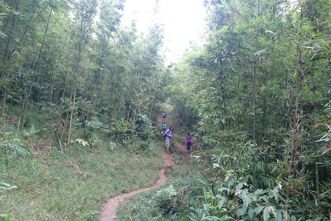Sapa Trekking Tour - 1 Day - Navigating the Moderate Trekking Experience