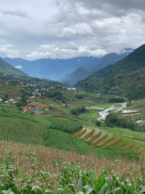 Sapa Trekking Tour Homestay Rice Fields and Bamboo Forest - Key Points