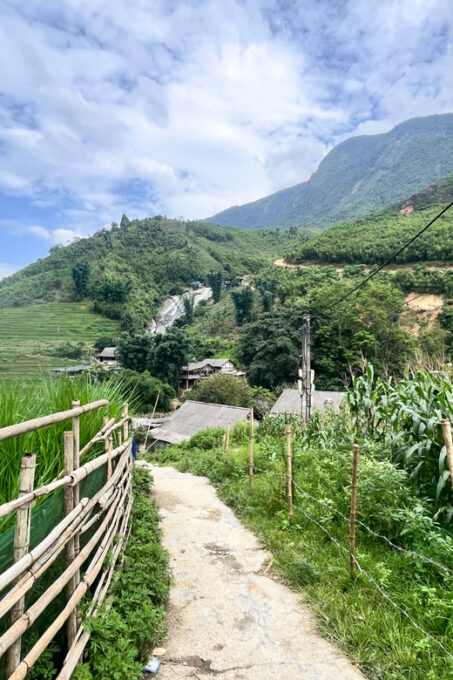Sapa Trekking Tour Homestay Rice Fields and Bamboo Forest - Frequently Asked Questions