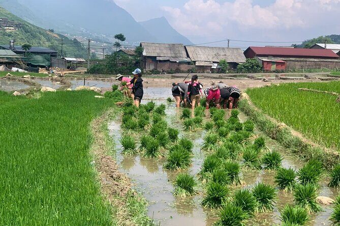 Sapa Trekking Tour to Y Linh Ho & Lao Chai with Local Guide - Final Word