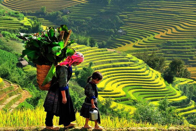 Sapa Trekking Tours - 2 Days 1 Night Stay At Homestay - Tour Overview