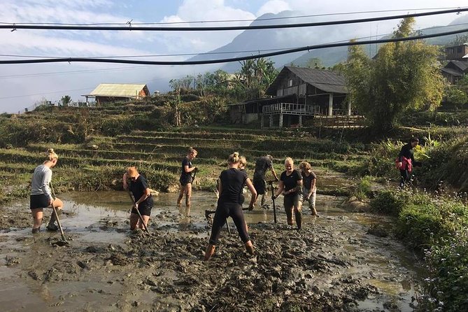 Sapa Trekking - Unique Route - 2D1N - Meeting and Pickup Information