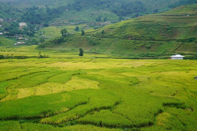 Sapa Trip to Waterfalls, Trekking and Tribal Villages Tour - Frequently Asked Questions