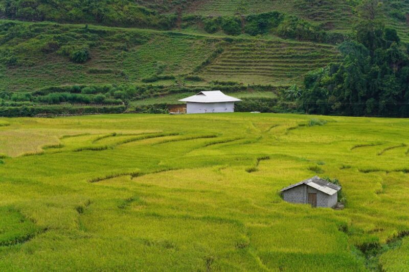 Sapa Trip to Y Linh Ho - Lao Chai - Ta Van - Cat Cat Village - Key Points