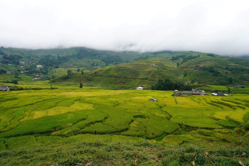 Sapa Trip to Y Linh Ho - Lao Chai - Ta Van - Cat Cat Village - Highlights of the Itinerary