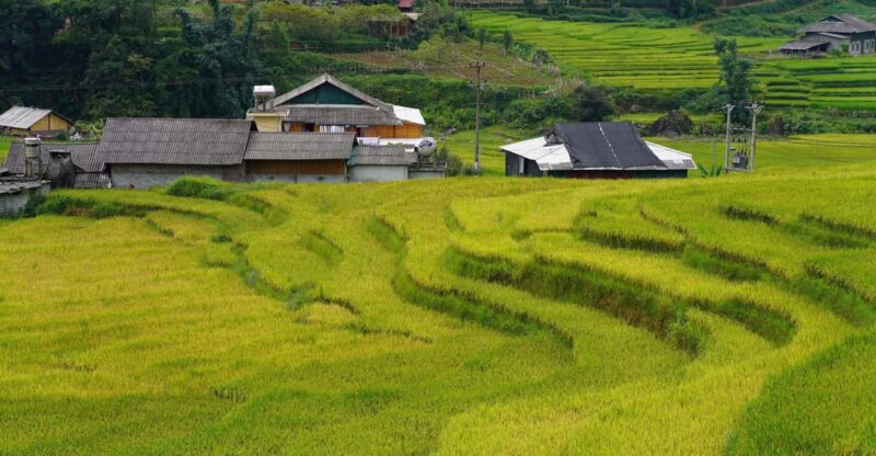 Sapa Trip to Y Linh Ho - Lao Chai - Ta Van - Cat Cat Village - Transportation and Logistics