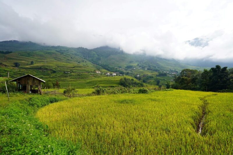 Sapa Trip to Y Linh Ho - Lao Chai - Ta Van - Cat Cat Village - Included Amenities