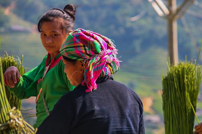 Sapa Valley Trek and Homestay - 3D2N - Pickup and Meeting Details
