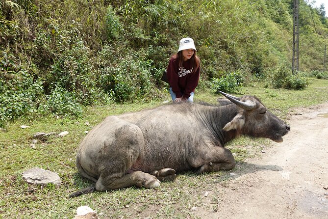 Sapa Valley Trek and Homestay - 3D2N - Group Size Limit